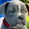 Stephen Waters - @stephen.waters2 - TikTok