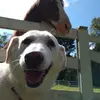 Stephen Waters - @stephen.waters92 - TikTok