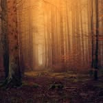 Stephen Waters - @cobbit_of_the_shire - Instagram