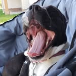 Stephen Watson - @swaton7707 - Instagram