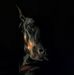 Stephen Wayne - Facebook