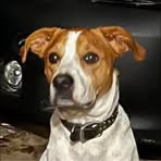 Stephen Webb - Facebook