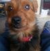 Stephen Weightman - Facebook