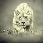Stephen Weiner - @sbwrml42 - Instagram
