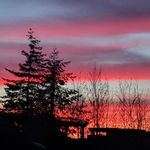 Stephen Weiner - @stephen.weine - Instagram