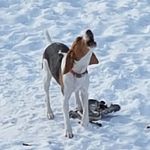 Stephen Wessel - @wesselstephen - Instagram