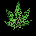 Stephen Westerman - @blantman42011 - Instagram