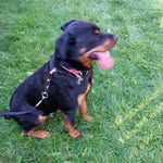 Stephen Wheatley - @stephen.wheatley.906 - Instagram