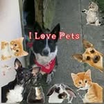 stephen wheatley - @wij666 - Instagram
