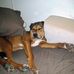 Steve Whitten - Facebook