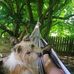 Stephen Whitton - Facebook