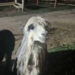 Steven Whitton - @swhit3216 - Instagram