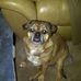 Stephen Wilcher - Facebook