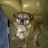 Stephen Wilcher - @stephen.wilcher - TikTok