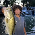 Stephen Wilder - @stephenwilder12 - Instagram