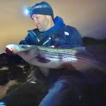 Stephen Wilkey - @stephenwilkey - Instagram