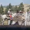 Stephen Willard - @stephen.willard8 - TikTok