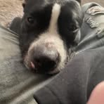 Steven Willard - Facebook