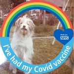 Stephen Willers - @stephen.willers.39 - Instagram