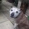 stephenwillers - @stephenwillers8873 - TikTok
