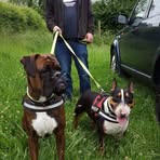 Steven Willingham - Facebook