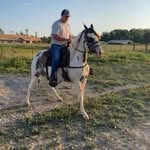 Steven Wimberly - @stevenwimberly79 - Instagram
