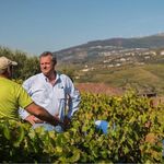 Stephen Christie - @stephen.christie.wines - Instagram