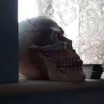 Stephen 'Woody' Woodley - @woodleywonders - Instagram