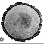 Stephen Worsham - @worshamwoodwork - Instagram