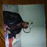 Stephen Wartley - @stephenwartley0 - TikTok
