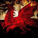Stephen Wynne - @stephenwynne17 - Instagram