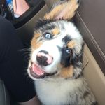 Stephen York - @skillfullsteve - Instagram