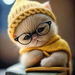 stephen york - @york1stephe - Instagram