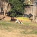 Steve Zeiders - Facebook