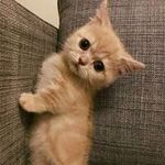 Stephen Zhou - @stephen.zhou.77 - Instagram