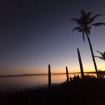 Stephen Zhou - @stephen.zhou.98031 - Instagram