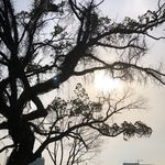 Stephen Zhou - @stephenzhou8282 - Instagram