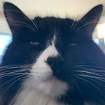 Stephen Zhou - @stepzhou - Instagram