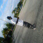 Stephon Joseph - @stephon003 - Instagram