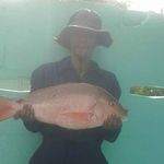 Stephon Joseph - @stephon209 - Instagram