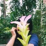 @_stephy.mathew - Instagram