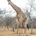 Sterling Bush Lodge - Facebook