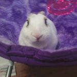 Sterling carr - @sterling_carr - Instagram