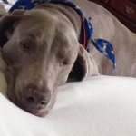 Sterling Ridge Collins - @sterlmeetsworld - Instagram