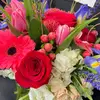 sterlingconnell - @sterling.connell - TikTok
