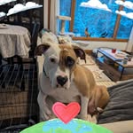 Judy Sterling-Cox - @judycox233 - Instagram