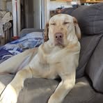 Sterling Cox - Facebook