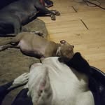 Sterling Ellison - @ellison.sterling - Instagram