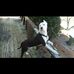 Sterling Ellison - Facebook