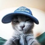 Sterling Fox - @sterdude0827 - Instagram